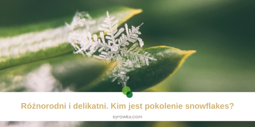 Pokolenie płatków śniegu. Kim jest pokolenie snowflakes?